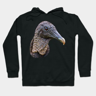 Head of a Black Vulture Hoodie